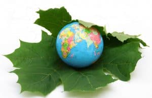 sustainable development