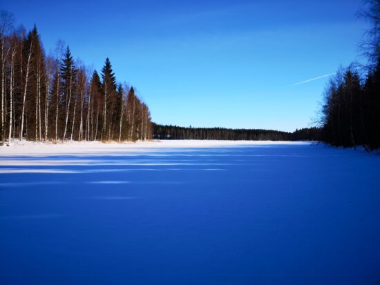 picture